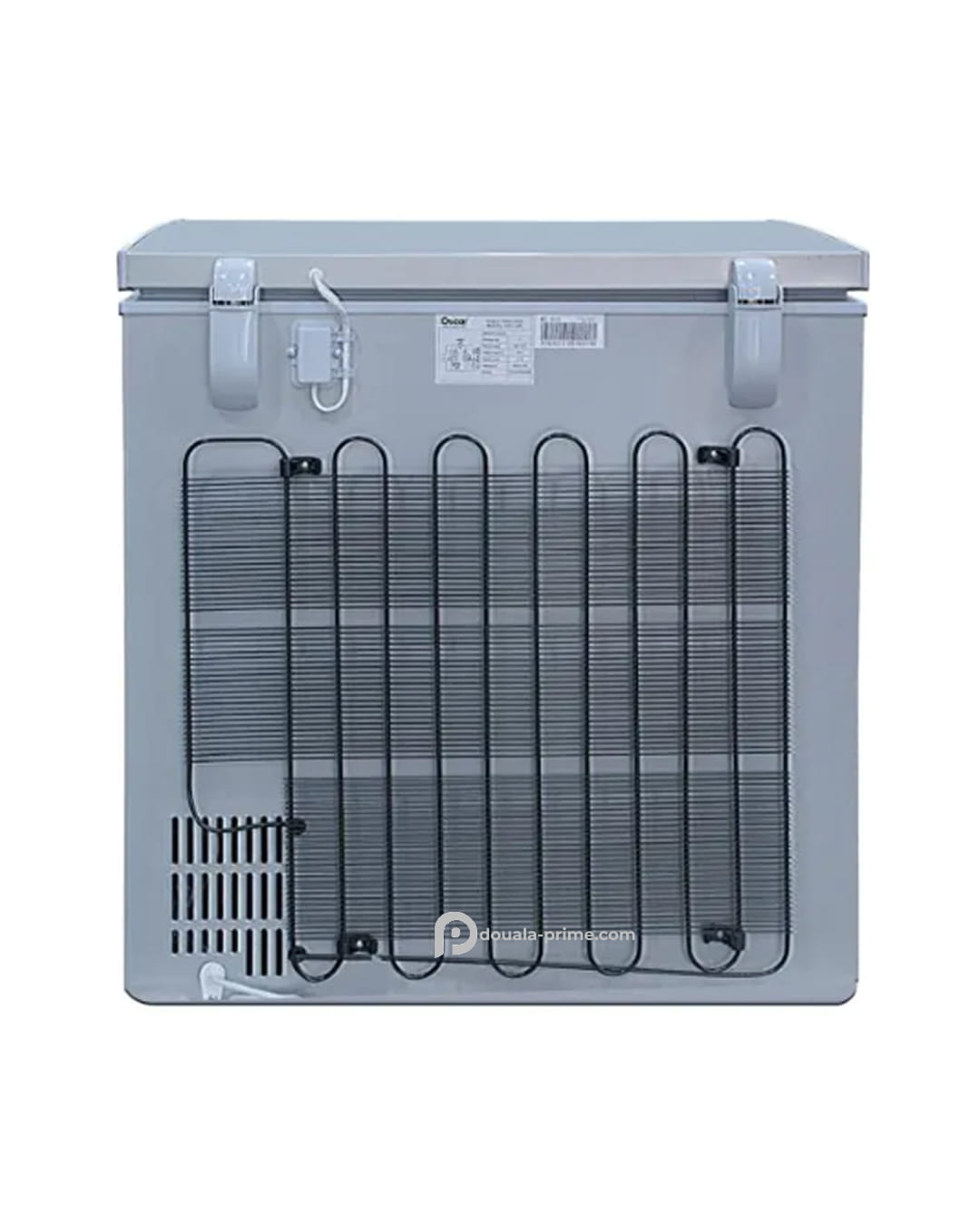 CONGELATEUR COFFRE OSCAR OSC-250 150L