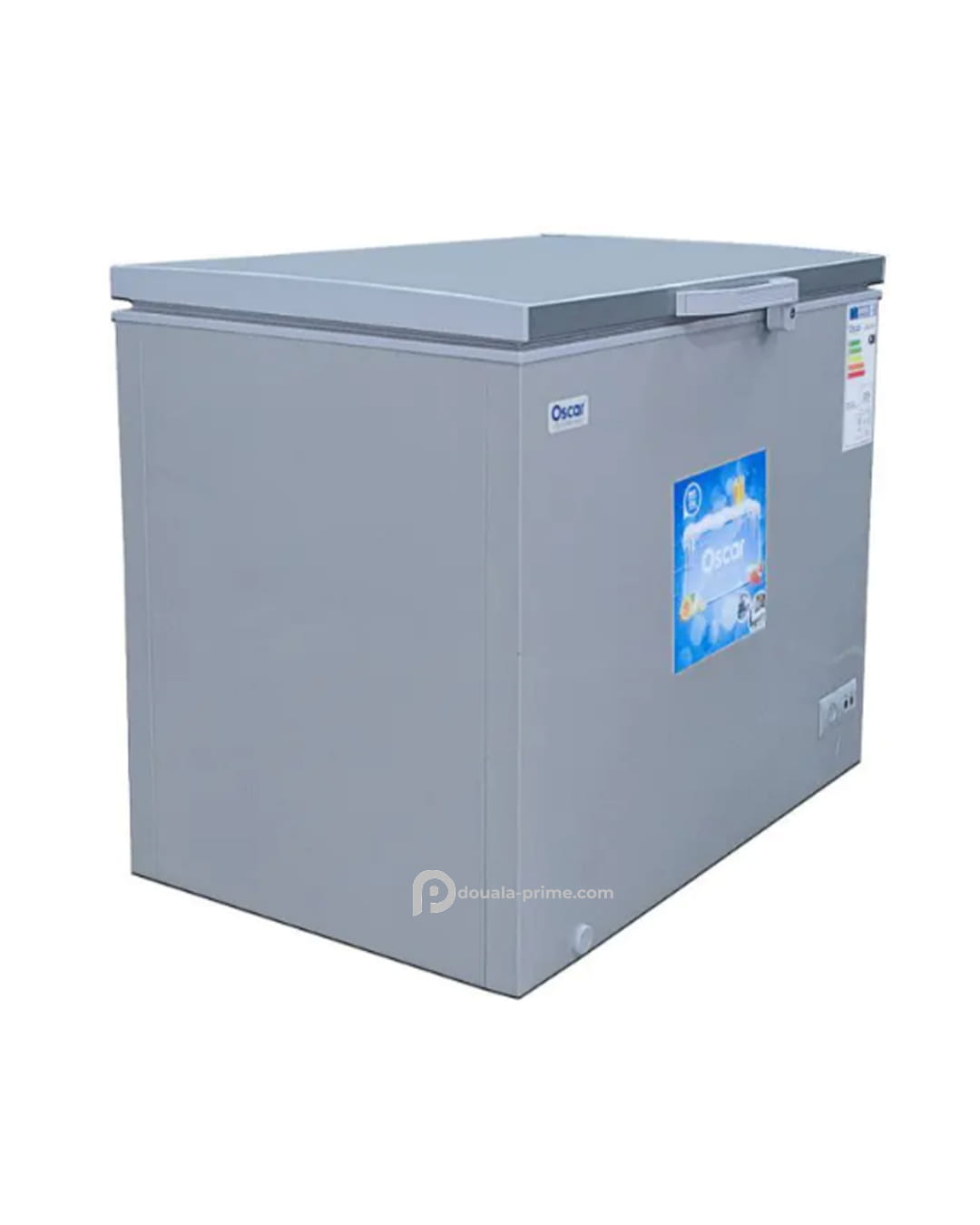 CONGELATEUR COFFRE OSCAR OSC-350 230L