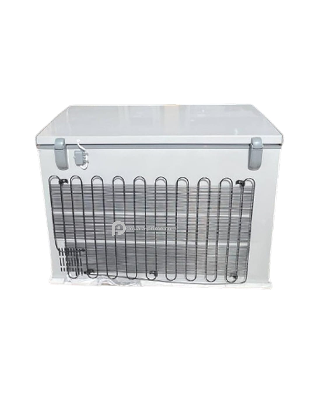 Congelateur Coffre Belle Vie - BVC-379 - 316L - Gris