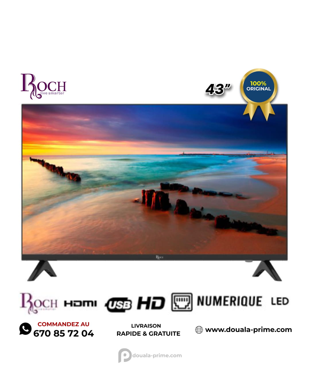 TV Numérique Roch 43'' - RH-LE43DS - Full HD