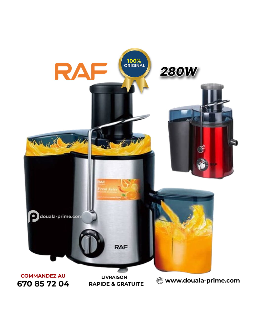 EXTRACTEUR DE JUS RAF R.2817 280W